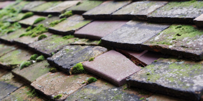 Barnard Gate roof repair costs